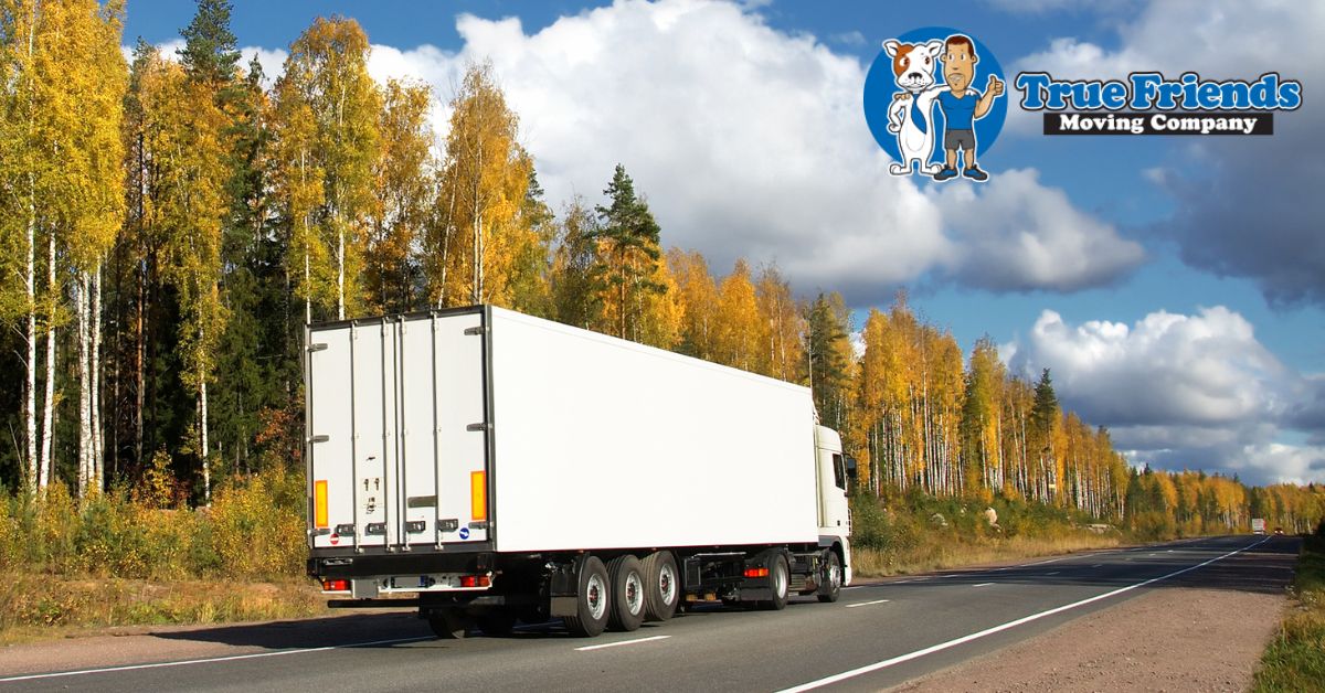 5 Tips to Make Your Fall Move a Breeze | True Friends Moving Company